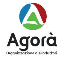 op-agora logo