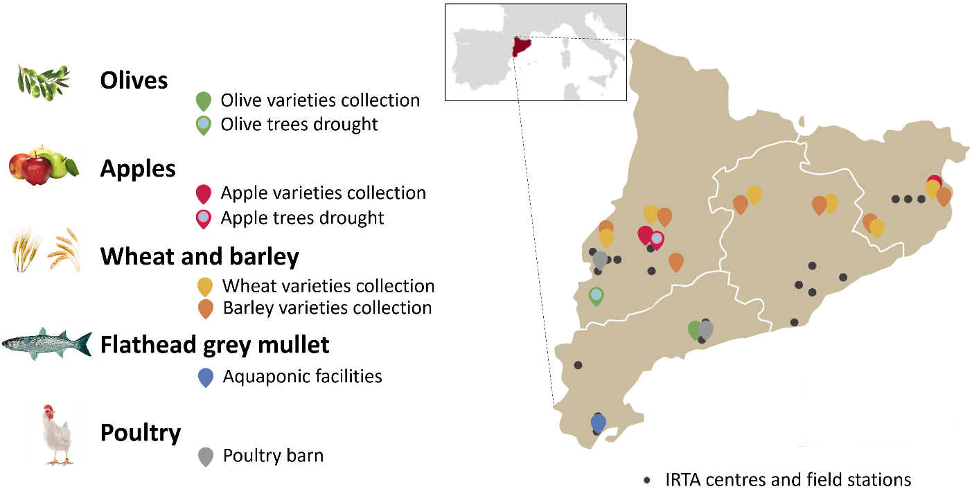 concat map europe - Catalonia (Spain)