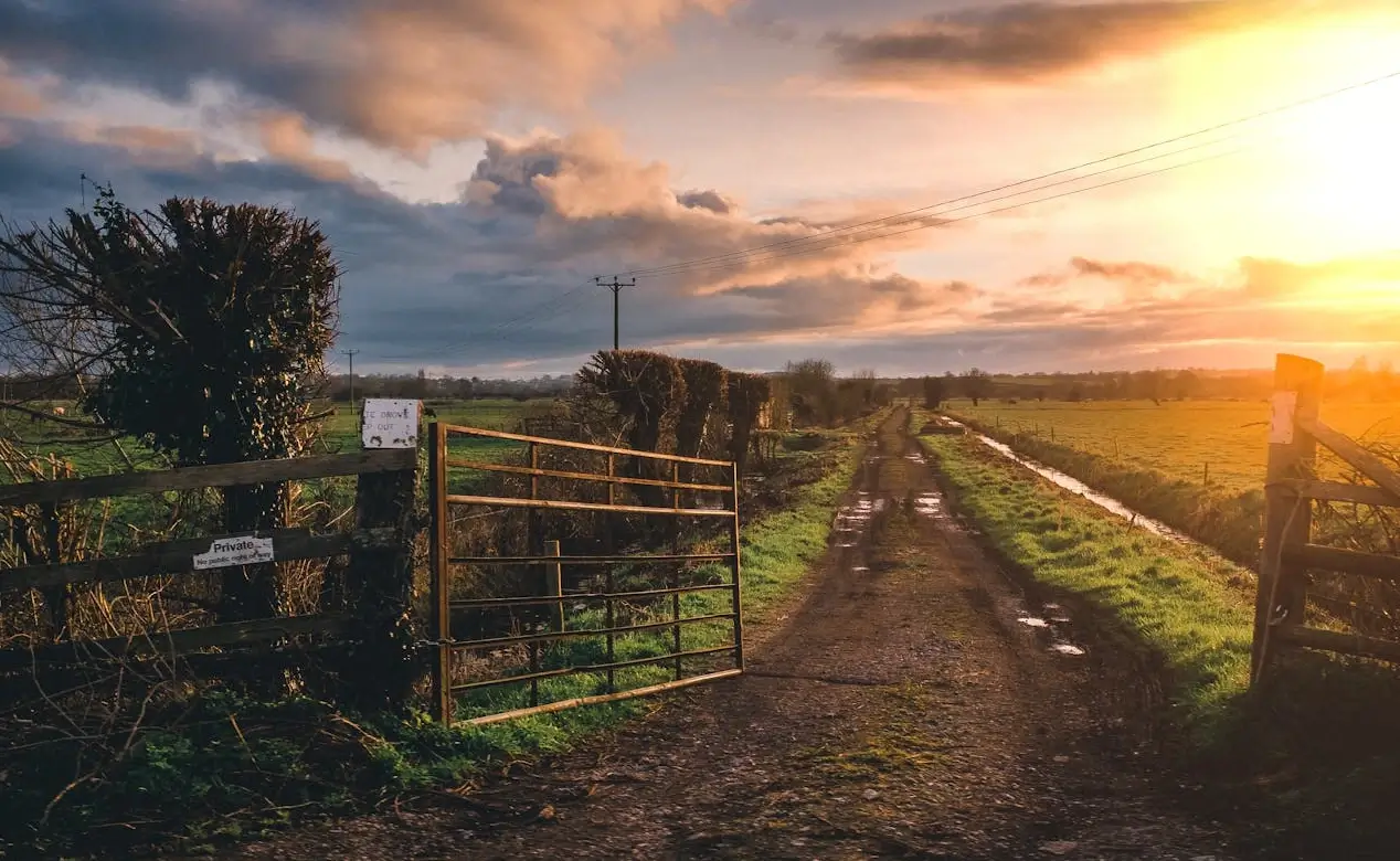 sunset farm