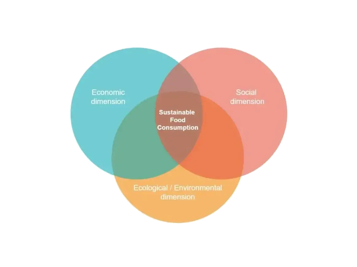 three dimensions of sustainabe food consumption